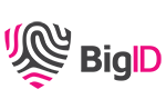 BigID logo