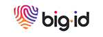 BigID logo
